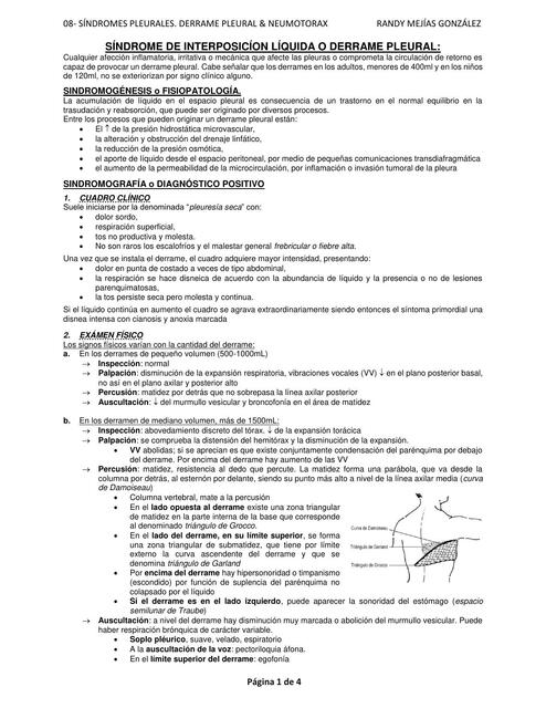 Síndromes de interposición líquida o derrame pleural 