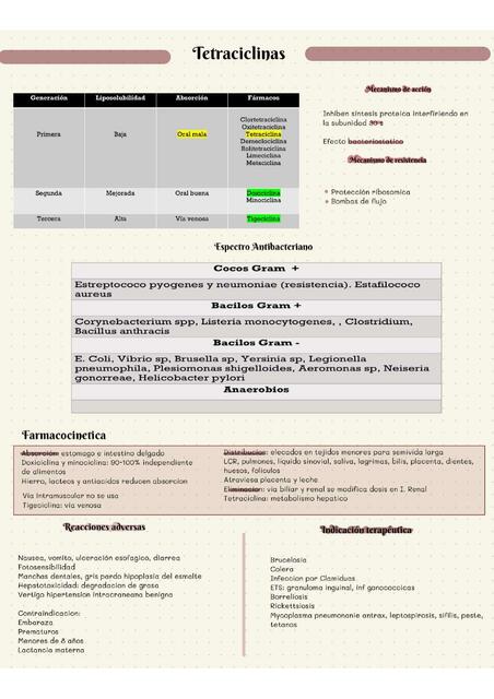 Tetraciclinas