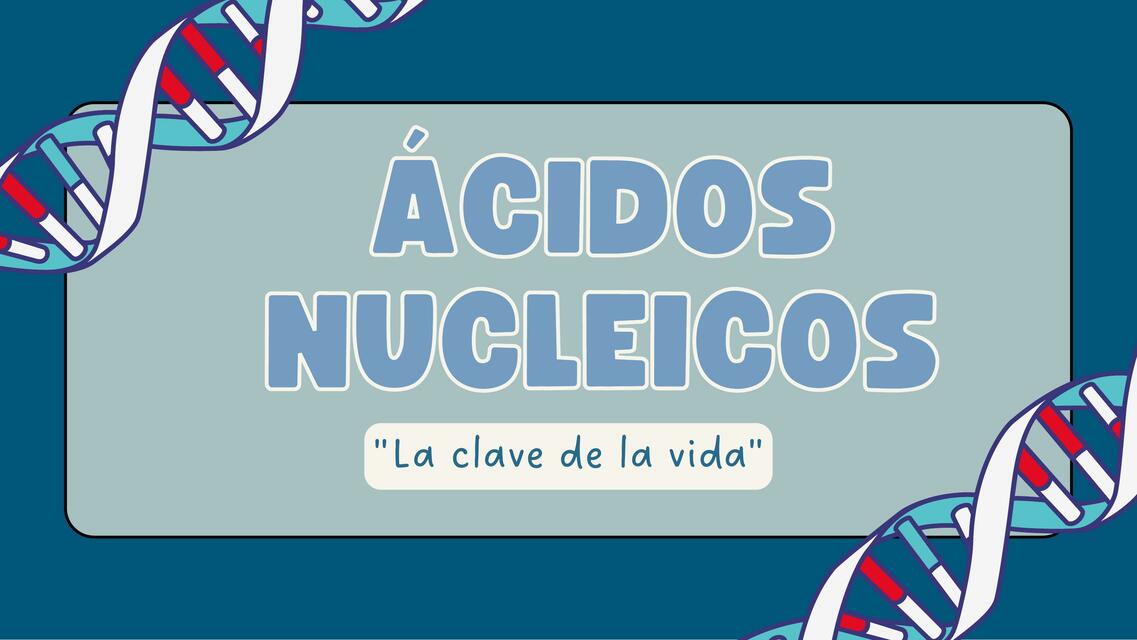 Ácidos nucleicos