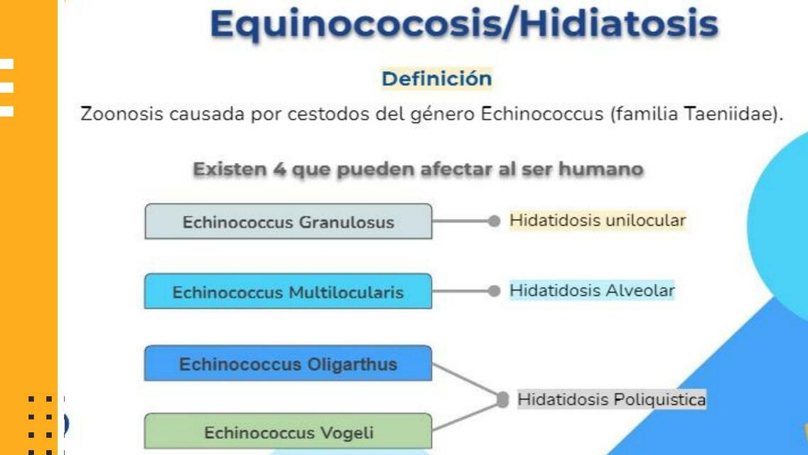 Equinococosis hepática