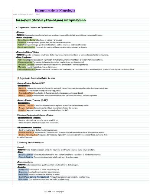 Estructura de la Neurología