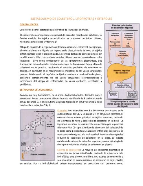 METABOLISMO DE COLESTEROL resumen