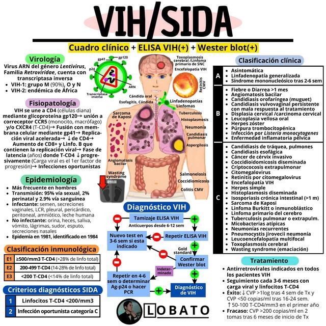 VIH SIDA 🩺| Diagnóstico, Tratamiento , Fisiopatología, Fármacos