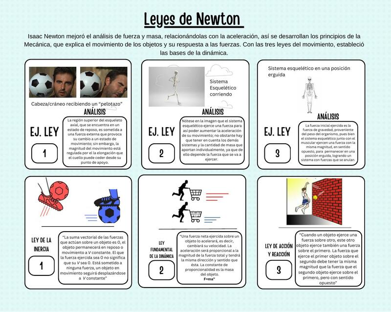 LEYES DE NEWTON EN LA VIDA COTIDIANA