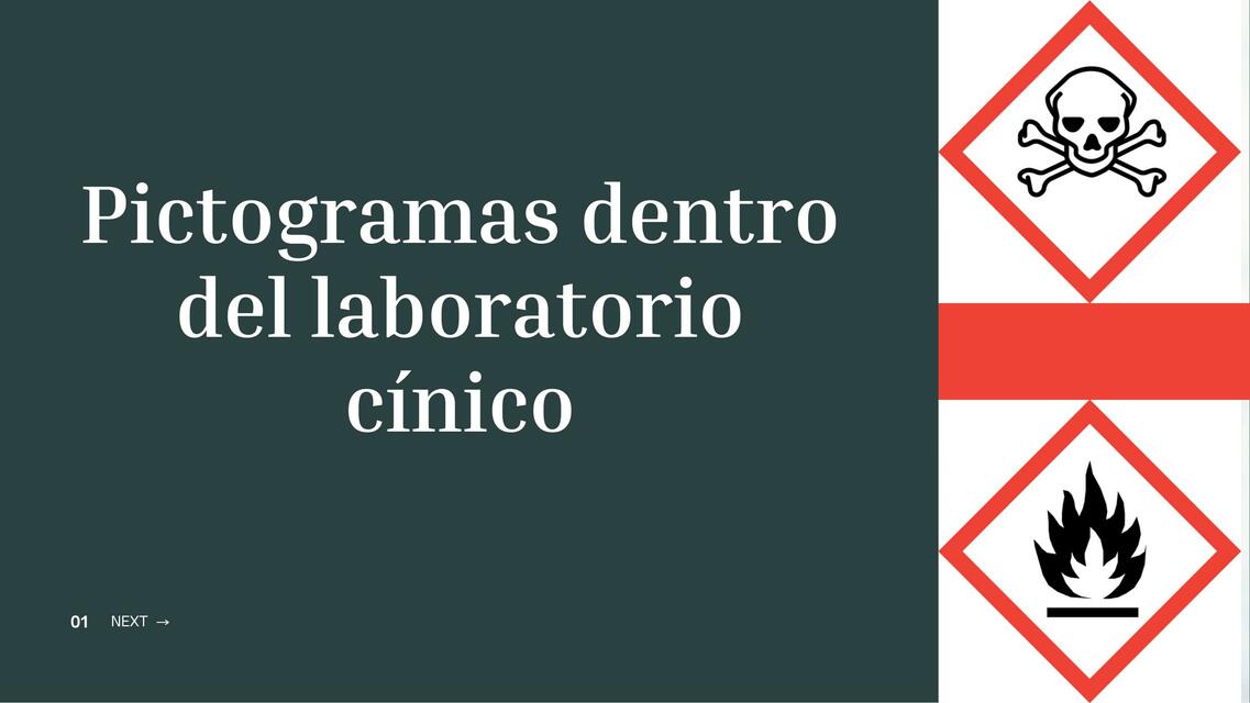 Pictogramas dentro del laboratorio