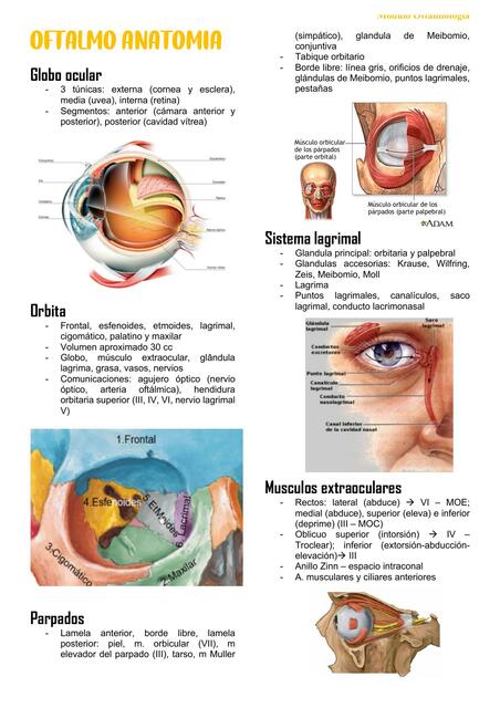 Oftalmología