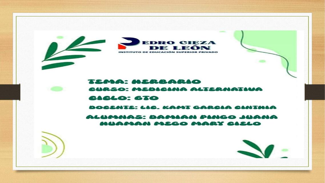 Plantas Yusely Estela Udocz Plantas Yusely Estela Udocz