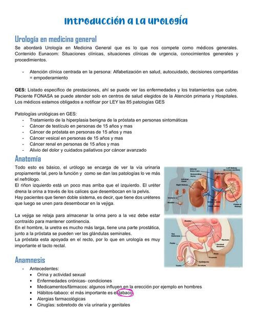 Urología