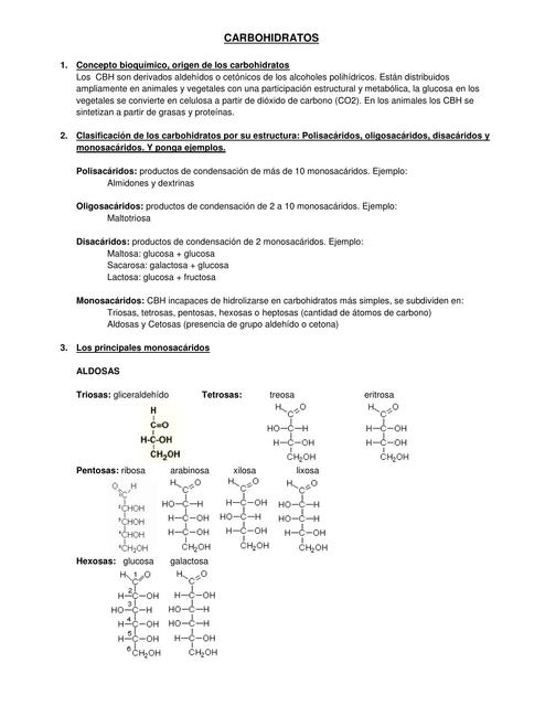 Carbohidratos Lípidos y Proteínas