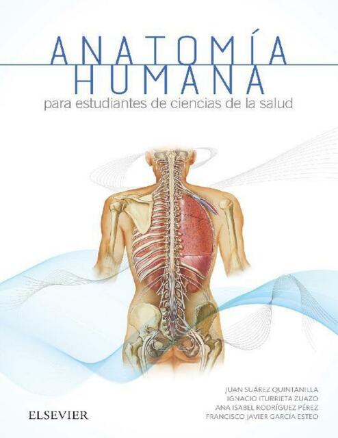 Varios Anatomia Humana Para Estudiantes De Ciencia