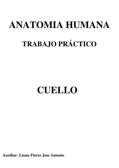 anatomía del cuello humano