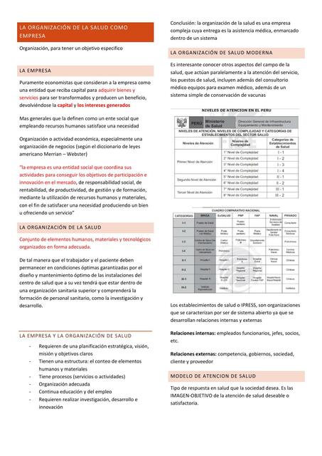 03 LA organización DE LA SALUD COMO EMPRESA