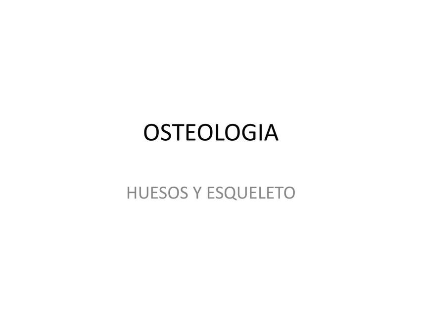 5 OSTEOLOGIA