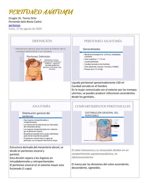 Peritoneo Anatomia