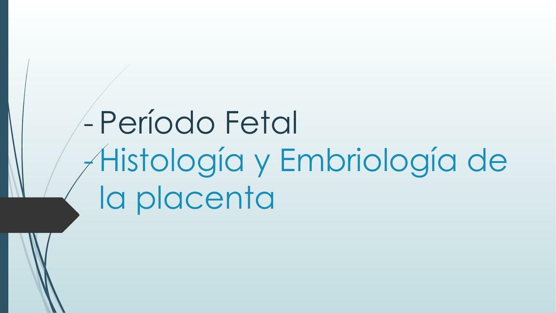 E4 PLACENTA Y PERIODO FETAL pptx