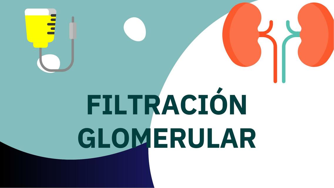 filtracion glomerular