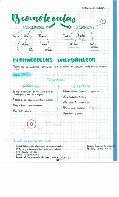 Biomoléculas