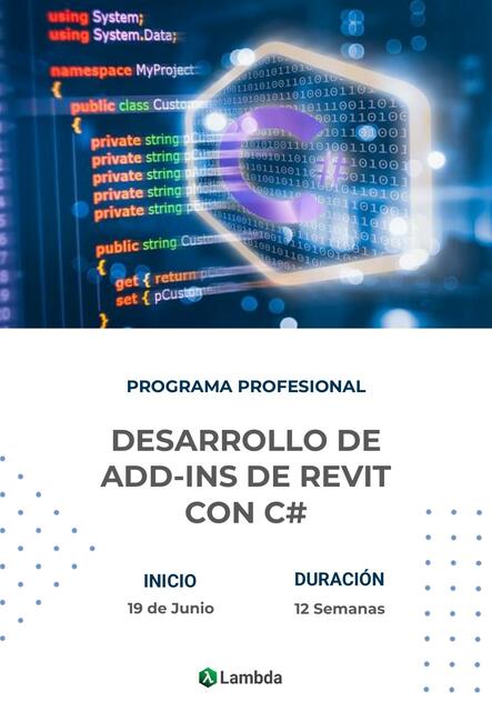 Brochure Addins Revit API