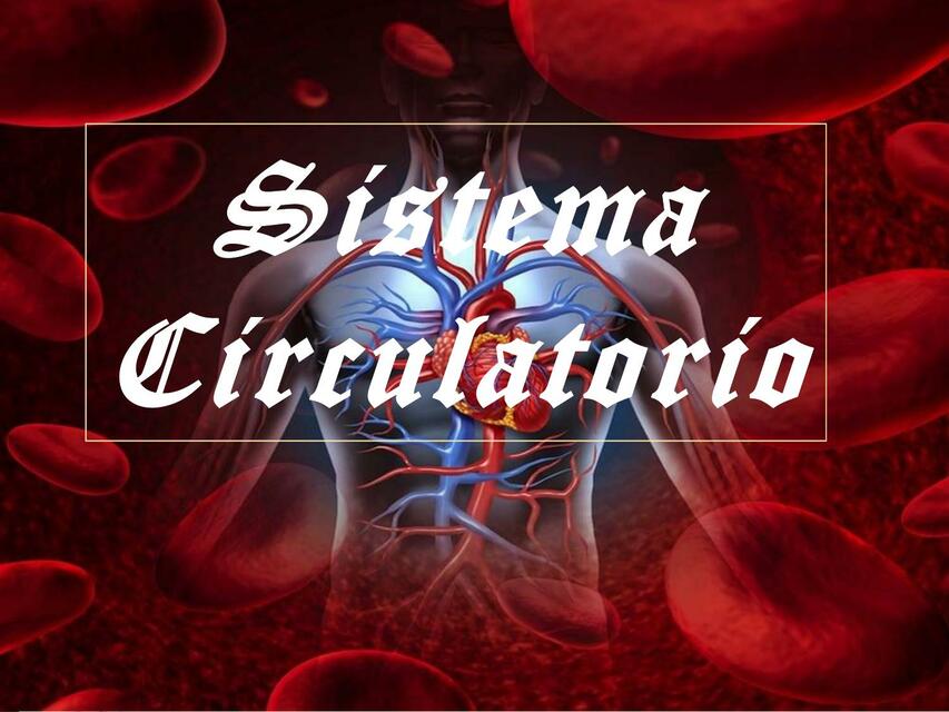 Sistema circulatorio