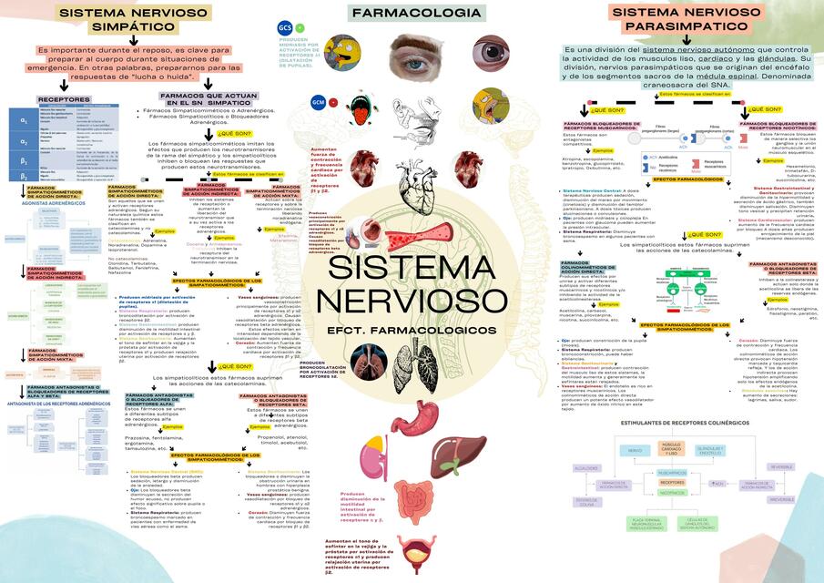 Esquema Farma