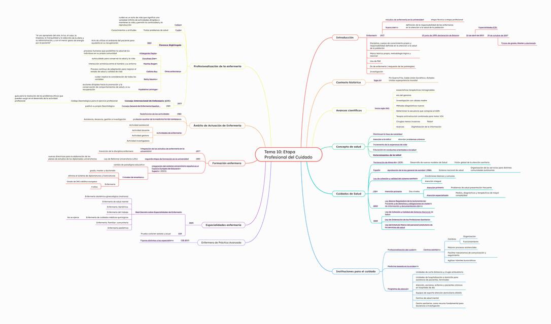 Esquema Tema 10 Etapa Profesional del Cuidado