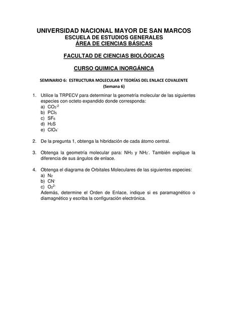 SEMINARIO 6 ESTRUCTURA MOLECULAR Y TEORÍAS DEL EN