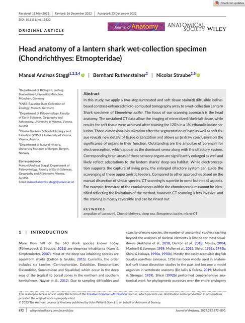 JournalofAnatomy Staggl Headanatomyofalanternshark