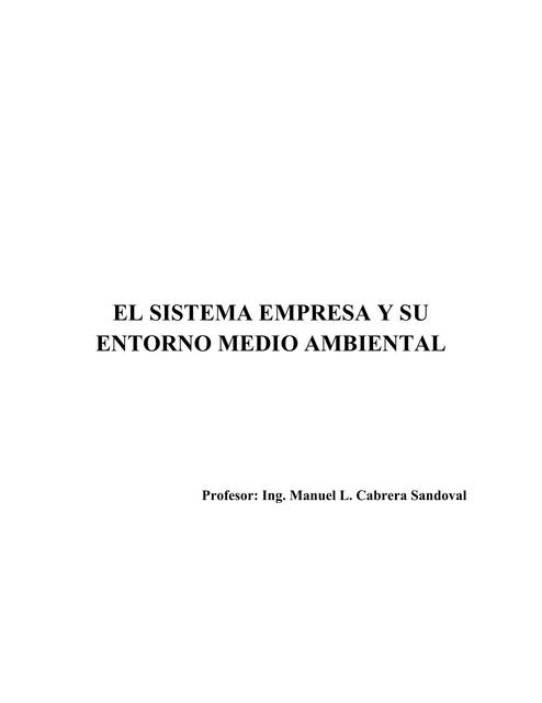 EL SISTEMA EMPRESA Y SU ENTORNO MEDIO AMBIENTAL