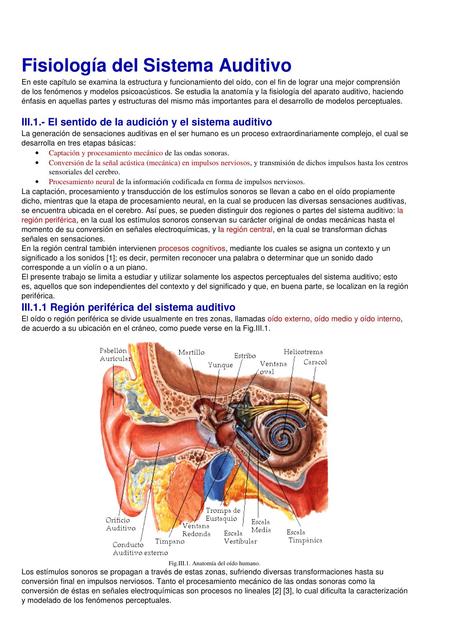 FISIOLOGIA DEL SISTEMA AUDITIVO