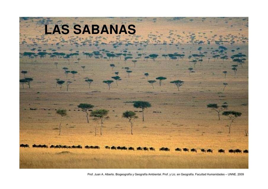 Las sabanas