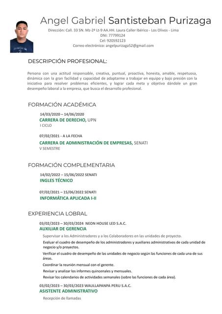 CURRICULUM VITAE ANGEL GABRIEL SANTISTEBAN PURIZAG