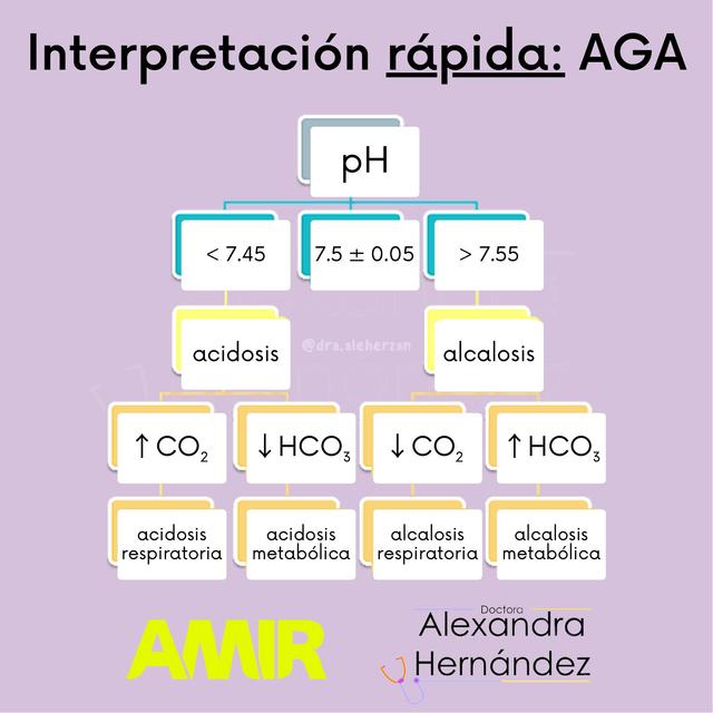 INTERPRETACION RAPIDA DE AGA Dra Ale Herzan uDocz