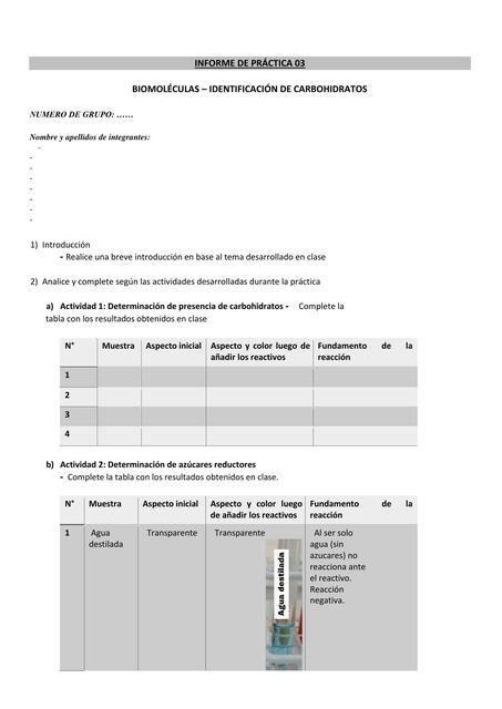 Informe Practica Carbohidratos Presencial FII I 1