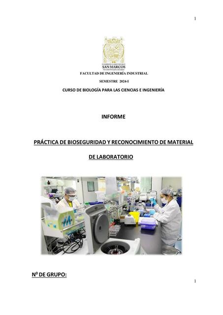 Informe Práctica Bioseguridad Virtual I FII 2 2