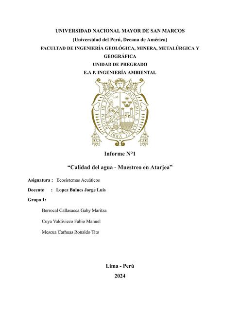 Informe 1