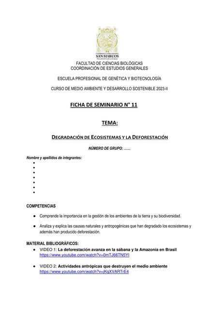 Ficha Seminario 11 II