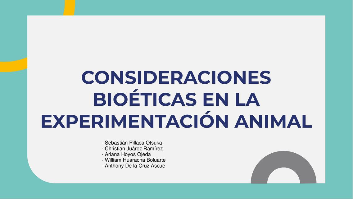 Semana 12 Consideraciones eticas animales