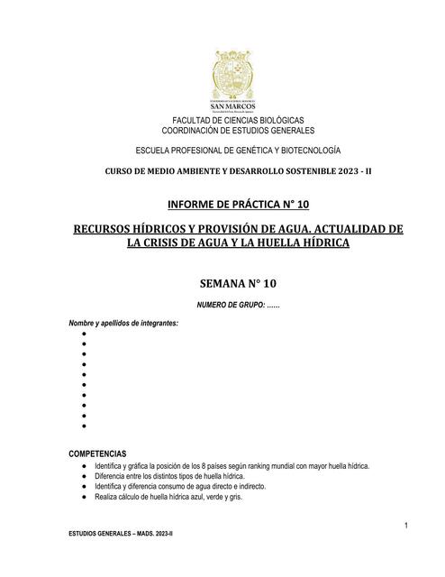 Informe Semana 10 Tarea Practica HH