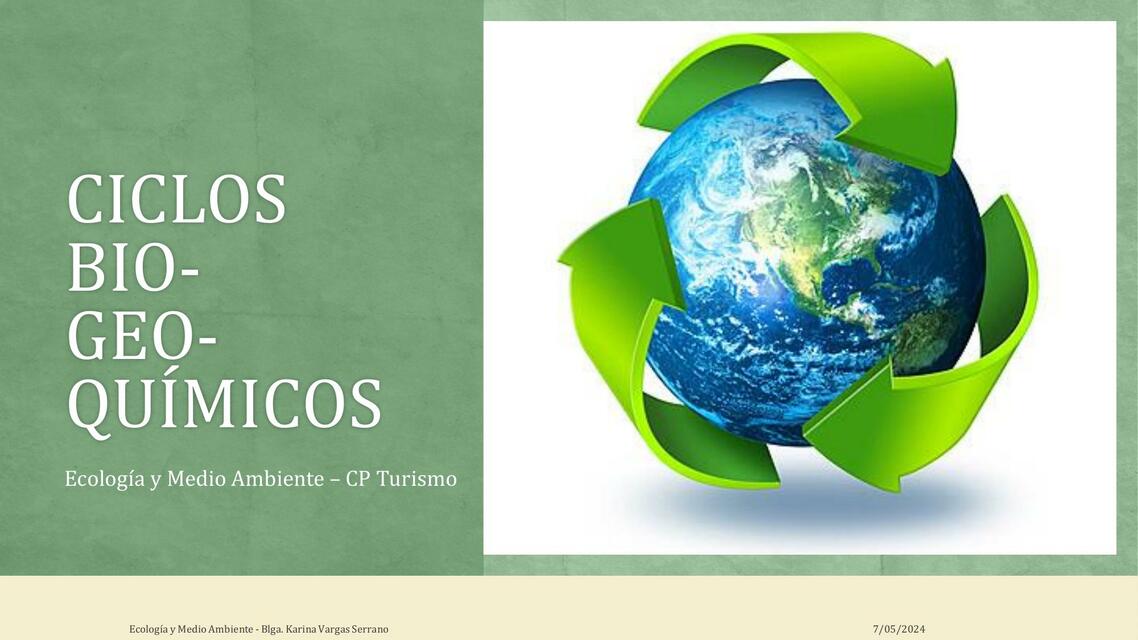 CICLOS BIOGEOQUÍMICOS PPT