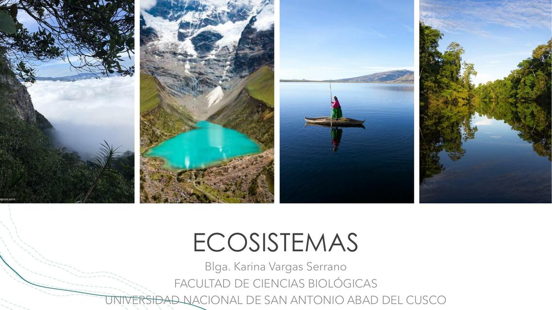 Ecosistemas