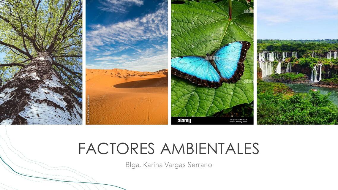 FACTORES AMBIENTALES