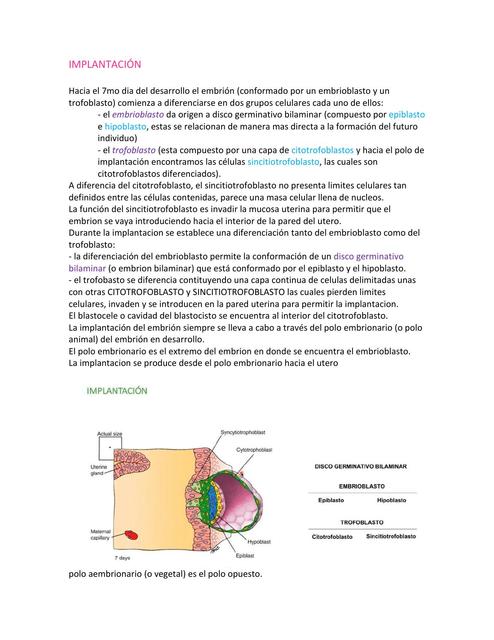 Implantación Embriología Desarrollo Inicial 