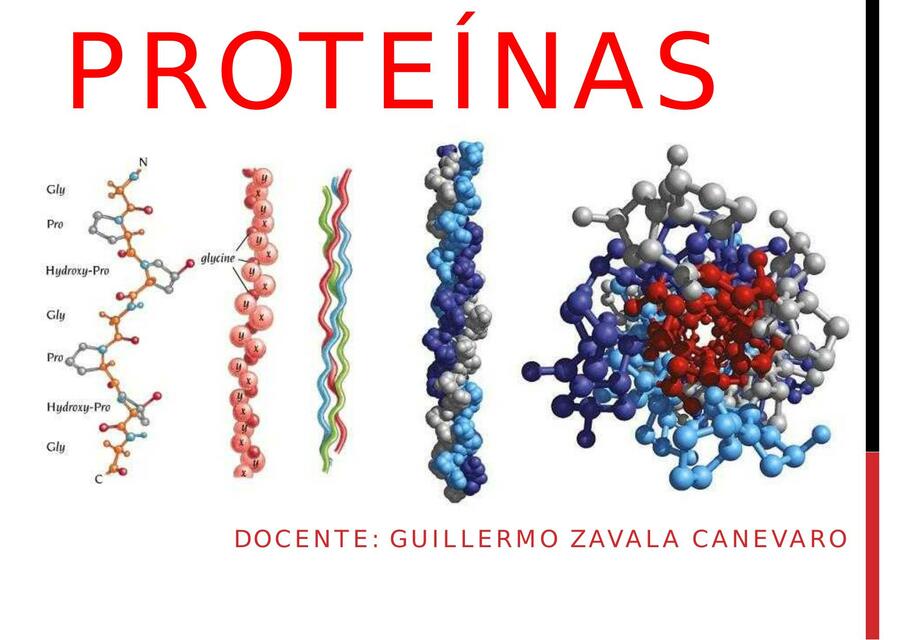 PROTEINAS