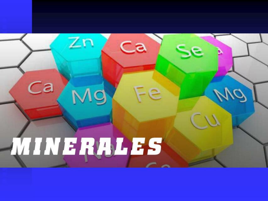 BIO 9 MINERALES