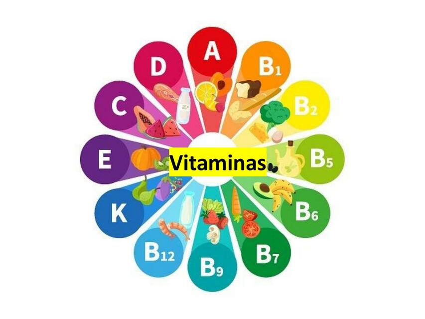 BIO 8 VITAMINAS