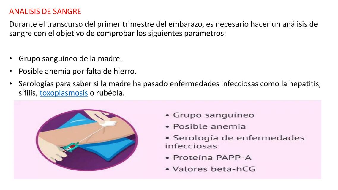 TEMA PRACTICO ANALISIS DE SANGRE EMBRIOLOGIA