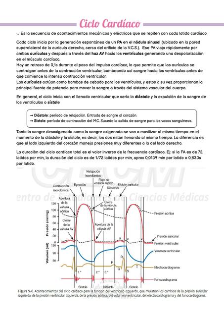 CICLO CARDÍACO