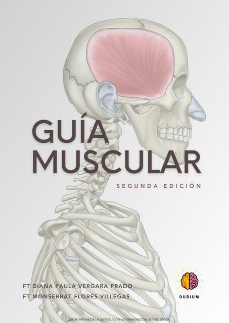 GUIA MUSCULAR DUBIUM