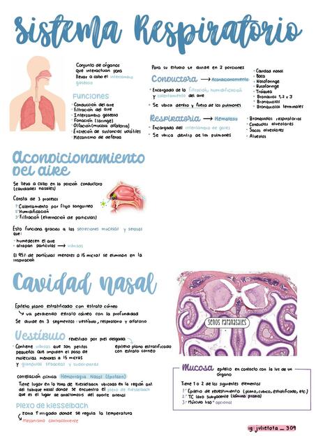 Histología del Sistema Respiratorio