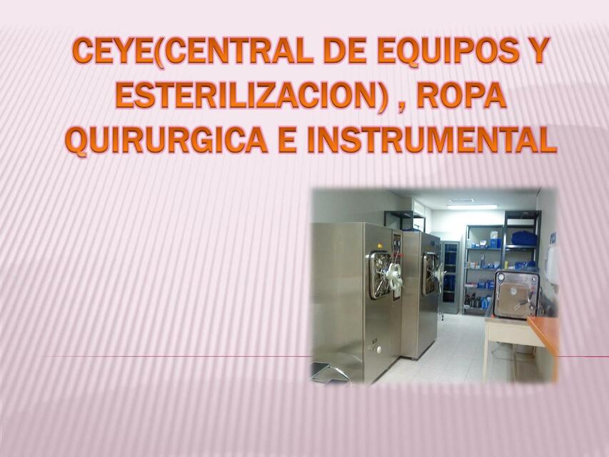 CEYECENTRAL DE EQUIPOS Y ESTERILIZACION BULTOS E 1